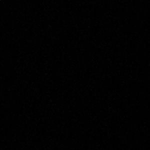 Meet your Posher, Benito